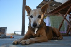 amorgos_2024_05