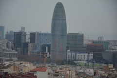 DSC_7333