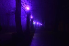 Belgium_521