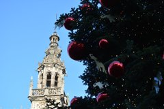 Belgium_626