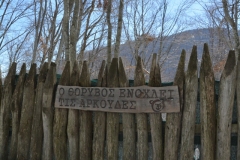 florina_5164