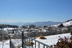 florina_5262