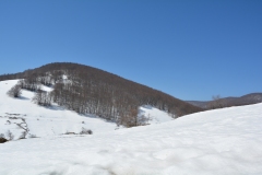 florina_5283