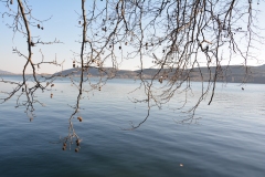 florina_5317