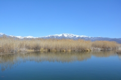florina_5370