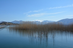 florina_5372
