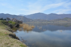 florina_5719