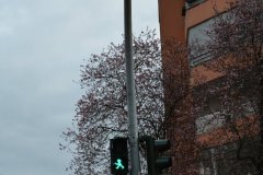 germany-berlin-33