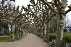 darmstardt_frankfurt_46