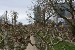 darmstardt_frankfurt_55