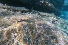 t/sdcard/DCIM/100GOPRO/G0060054