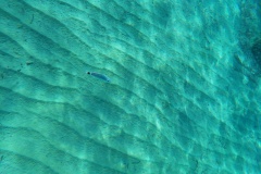 t/sdcard/DCIM/100GOPRO/G0150142