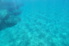 t/sdcard/DCIM/100GOPRO/G0220193