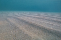 t/sdcard/DCIM/100GOPRO/GOPR0224