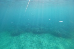 t/sdcard/DCIM/100GOPRO/GOPR0248