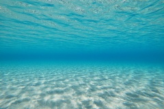 t/sdcard/DCIM/100GOPRO/GOPR0365