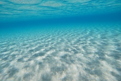 t/sdcard/DCIM/100GOPRO/GOPR0366