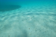 t/sdcard/DCIM/100GOPRO/GOPR0402