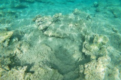 t/sdcard/DCIM/100GOPRO/GOPR0953