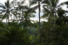 Bali_1_