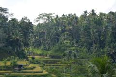 Bali_2_