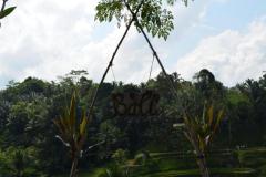 Bali_3_