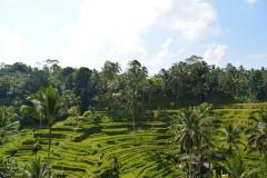 Bali_5_