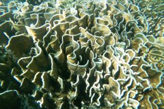 t/sdcard/DCIM/100GOPRO/G1060877
