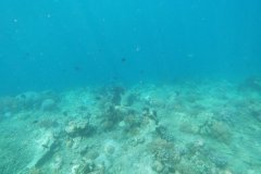 t/sdcard/DCIM/101GOPRO/G1291063