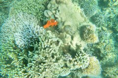 t/sdcard/DCIM/101GOPRO/G1751449