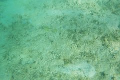 t/sdcard/DCIM/101GOPRO/G1911581
