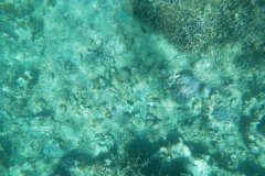 t/sdcard/DCIM/100GOPRO/GOPR0802