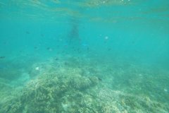 t/sdcard/DCIM/101GOPRO/GOPR1226