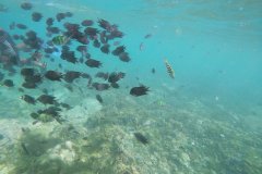 t/sdcard/DCIM/101GOPRO/GOPR1228