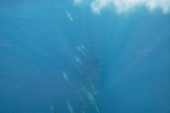 t/sdcard/DCIM/100GOPRO/G0780615