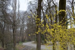 germany_munich_45