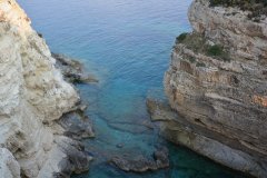 paxoi_2024_106