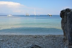 paxoi_2024_124