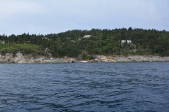 paxoi_2024_135