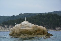 paxoi_2024_153