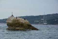 paxoi_2024_156