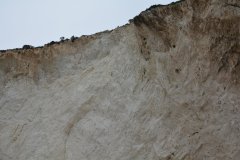 paxoi_2024_278