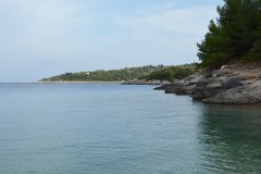 paxoi_2024_285