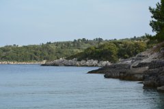 paxoi_2024_290