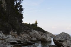 paxoi_2024_37