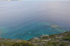 paxoi_2024_57
