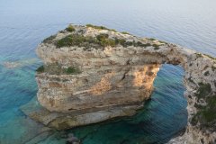 paxoi_2024_79