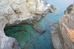 paxoi_2024_82