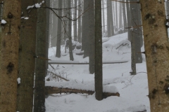 Krackow_14