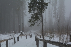 Krackow_16